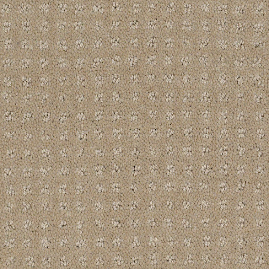 ALLURING DISPOSITION - Safari 00188 ALLURING DISPOSITION - Safari 00188