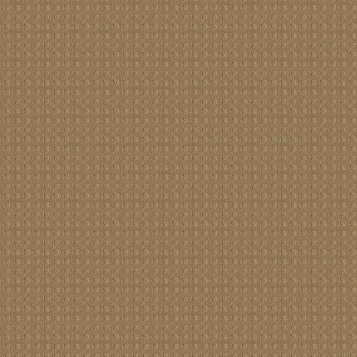 ALLURING DISPOSITION - Warmth 00782