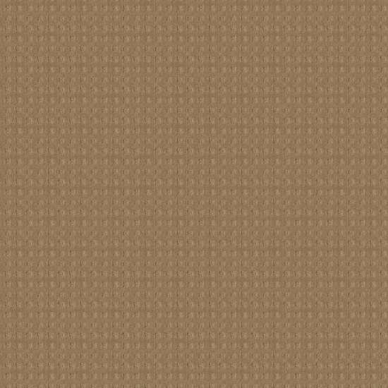 ALLURING DISPOSITION - Warmth 00782