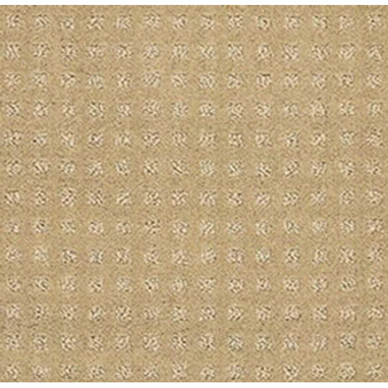 ALLURING DISPOSITION - Warmth 00782