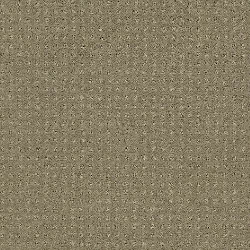 ALLURING DISPOSITION - Mocha 00790