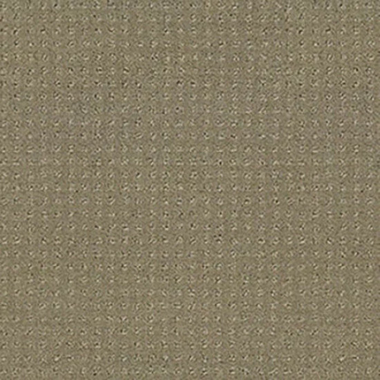 ALLURING DISPOSITION - Mocha 00790