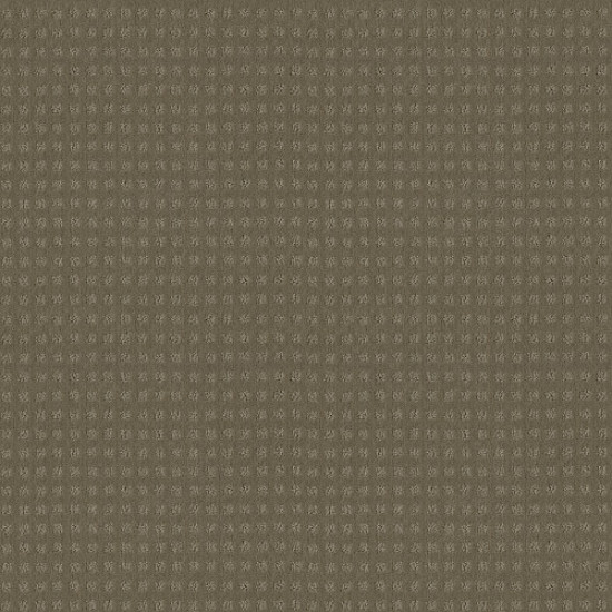 ALLURING DISPOSITION - Mocha 00790