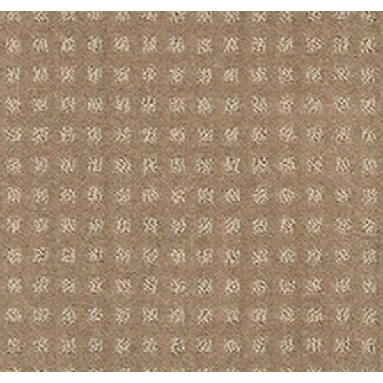ALLURING DISPOSITION - Grounded 00796 ALLURING DISPOSITION - Grounded 00796