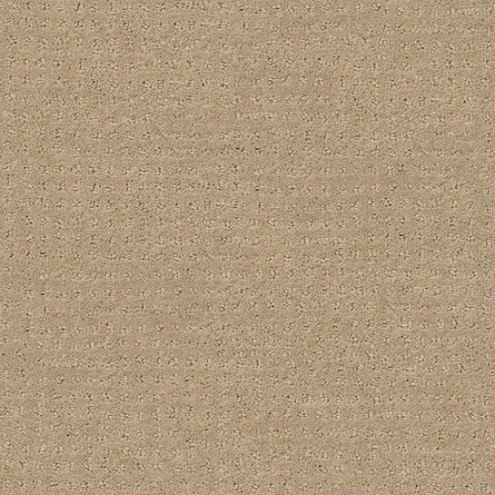PERPETUAL MOVE - Espresso 00192 PERPETUAL MOVE - Espresso 00192