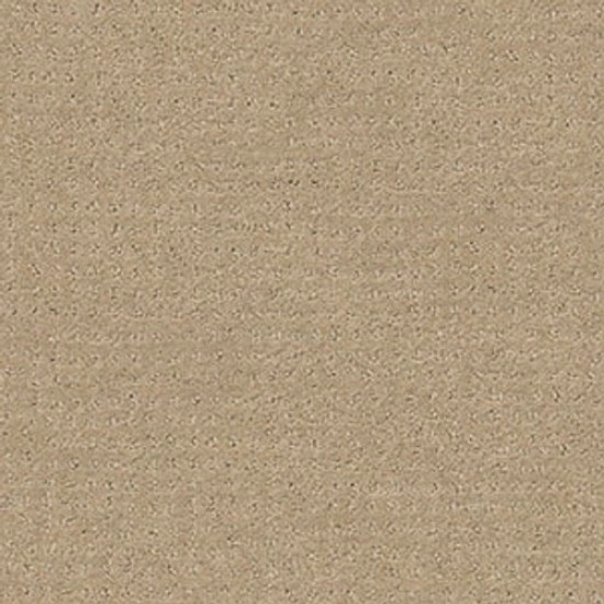 PERPETUAL MOVE - Espresso 00192 PERPETUAL MOVE - Espresso 00192