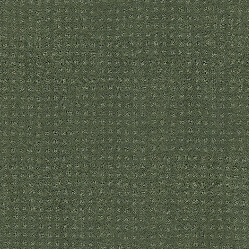 MY CHOICE PATTERN - Bay Laurel 00351