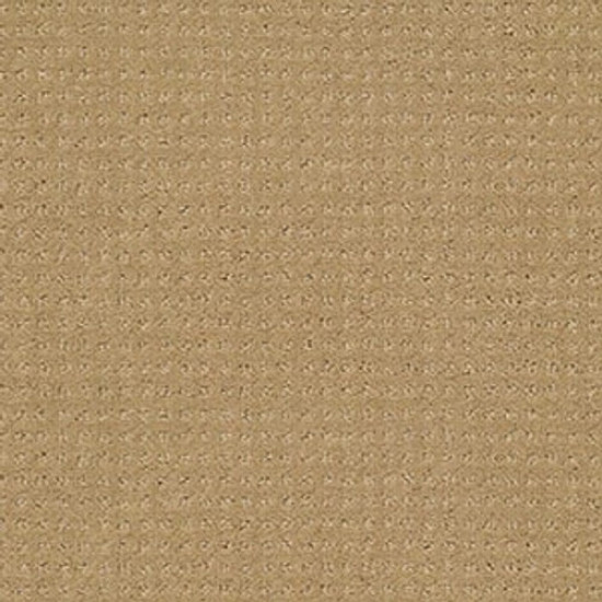 PERPETUAL MOVE - Warmth 00782