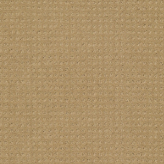 PERPETUAL MOVE - Warmth 00782