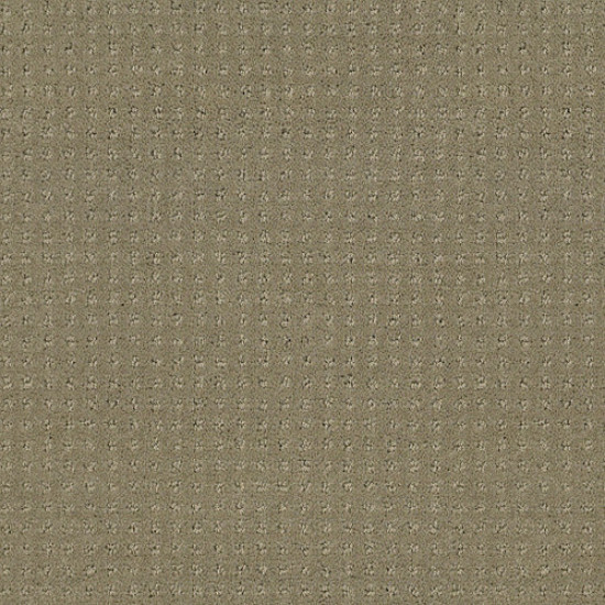 PERPETUAL MOVE - Mocha 00790