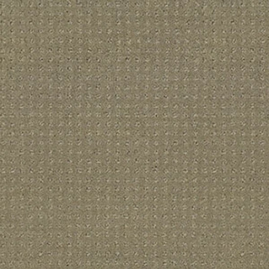 PERPETUAL MOVE - Mocha 00790