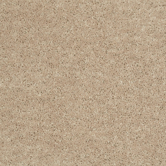 XV375 - Adobe 00103 XV375 - Adobe 00103
