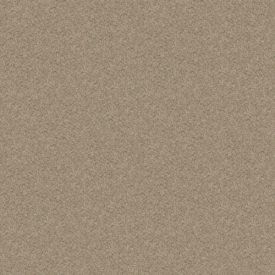 XV375 - Misty Taupe 00105