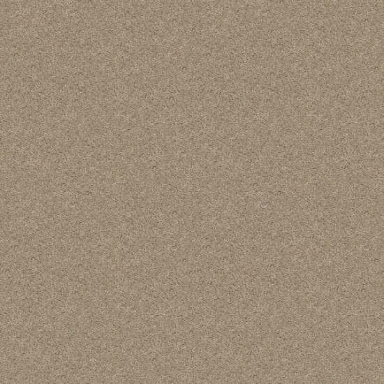 XV375 - Misty Taupe 00105