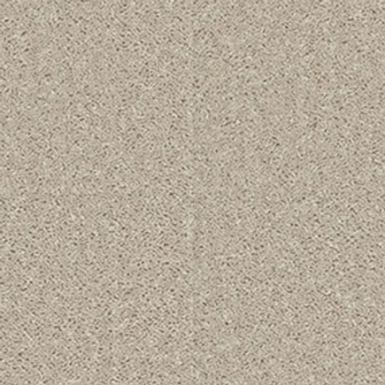 XV375 - Misty Taupe 00105