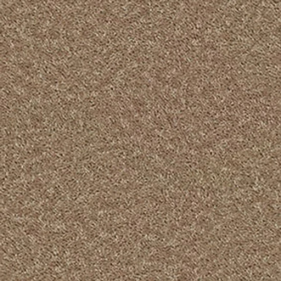 XV375 - Cider 00202 XV375 - Cider 00202