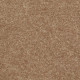 XV375 - Cider 00202 XV375 - Cider 00202