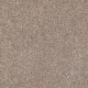 XV375 - Aloe 00300 XV375 - Aloe 00300