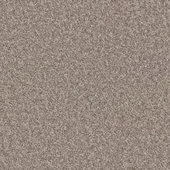 XV375 - Aloe 00300 XV375 - Aloe 00300