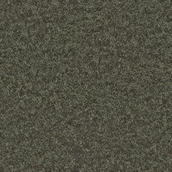 XV375 - Hedges 00301 XV375 - Hedges 00301