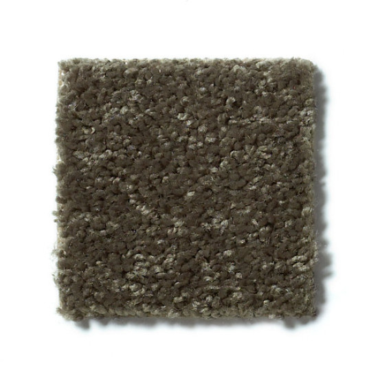 XV375 - Hedges 00301 XV375 - Hedges 00301