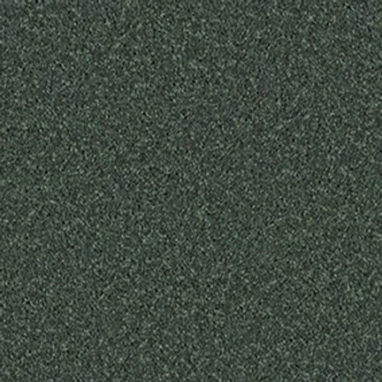 ALL STAR WEEKEND I 12' - Going Green 00340 ALL STAR WEEKEND I 12' - Going Green 00340