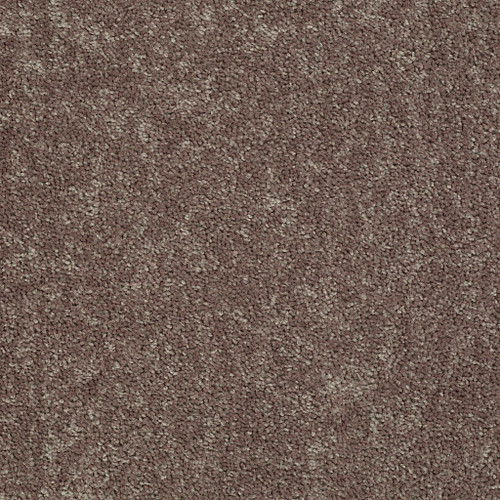 ALL STAR WEEKEND I 12' - Driftwood 00703