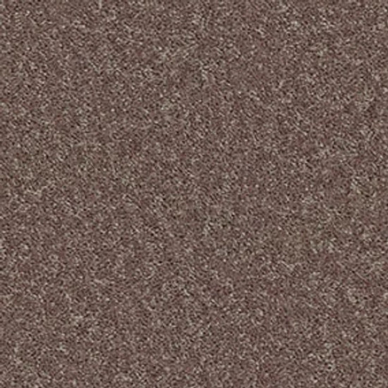 XV375 - Shale 00703