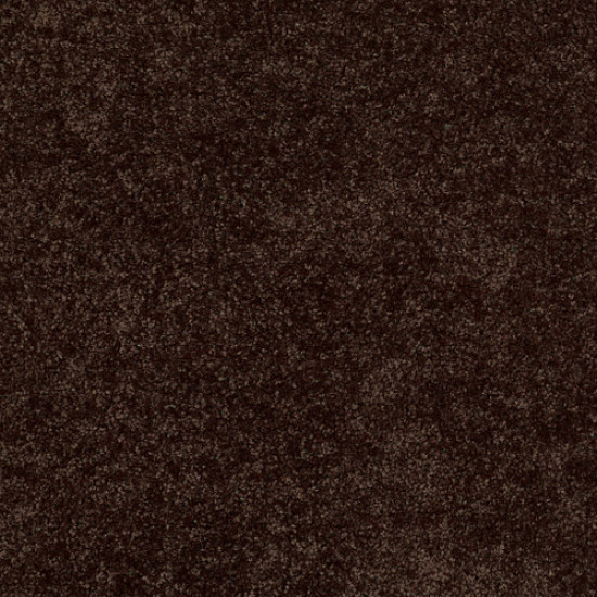 XV375 - Walnut 00705