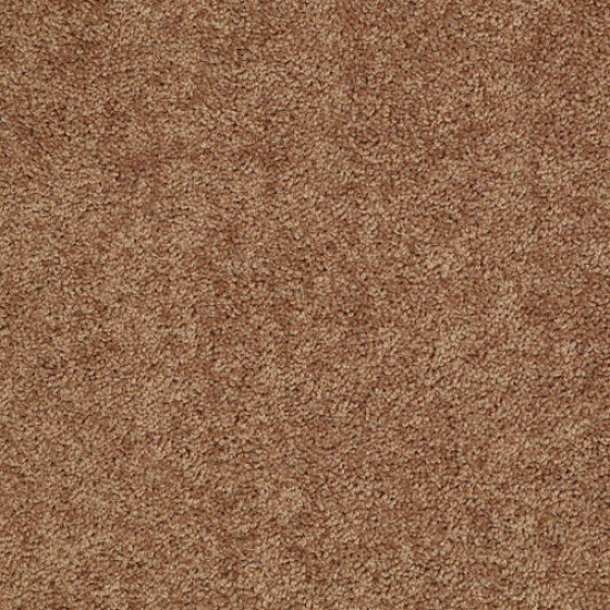 XV375 - Desert Sunrise 00721 XV375 - Desert Sunrise 00721