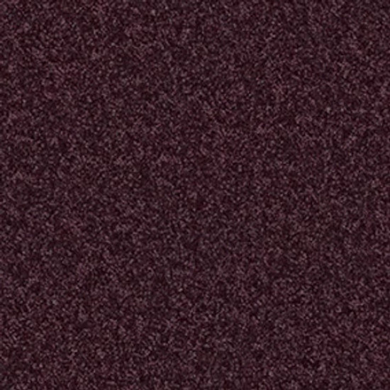 XV375 - Royal Purple 00902