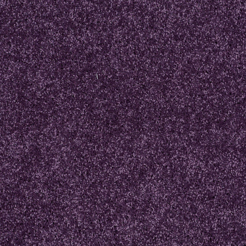 ALL STAR WEEKEND I 12' - Grape Slushy 00931