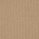 CASUAL LIFE - Tiger Eye 00228