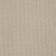 CASUAL LIFE - Oyster 00513 CASUAL LIFE - Oyster 00513