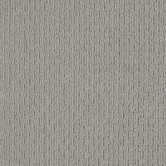 CASUAL LIFE - Titanium 00544