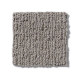 CASUAL MOOD - Birch Shadow 00555