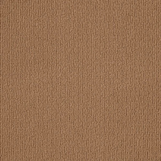 CASUAL MOOD - Molasses 00783