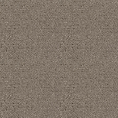 DEL VISTA - Koala 00553
