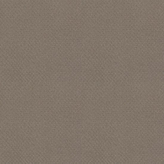 DEL VISTA - Koala 00553