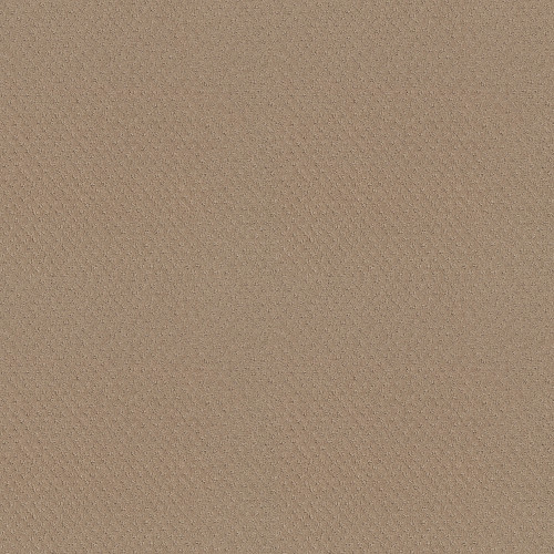 DEL VISTA - Beach Grass 00117