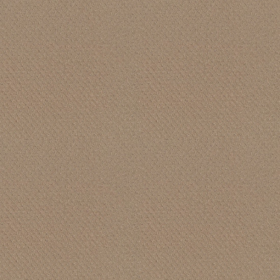 DEL VISTA - Beach Grass 00117