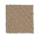 DEL VISTA - Beach Grass 00117