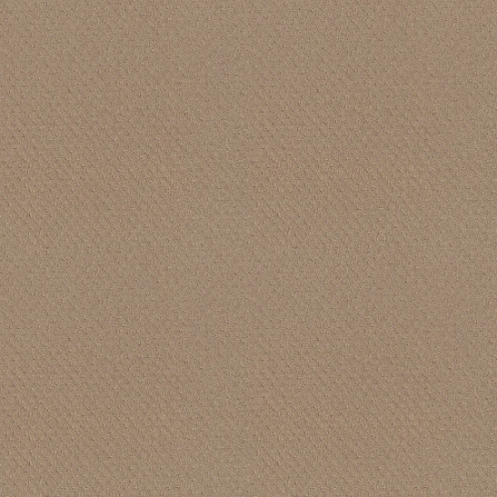 DEL VISTA - Beach Grass 00117