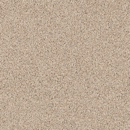 XV854 - Virtual Taupe 00109 XV854 - Virtual Taupe 00109