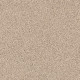 XV854 - Virtual Taupe 00109 XV854 - Virtual Taupe 00109