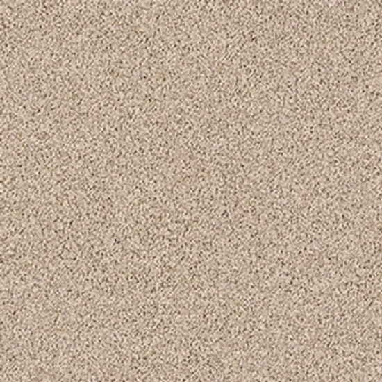 XV854 - Virtual Taupe 00109 XV854 - Virtual Taupe 00109