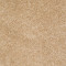 DREAMIN' 12' - Light Aspiration 00101