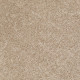 DREAMIN' 12' - Gallery 00103 DREAMIN' 12' - Gallery 00103
