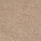 DREAMIN' 12' - Macaroon 00104