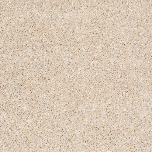 DREAMIN' 12' - Sand Dollar 00106